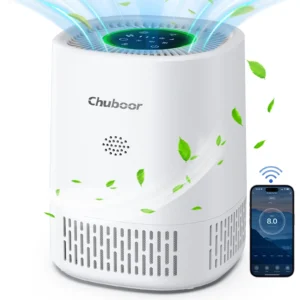 Air Purifier for Home